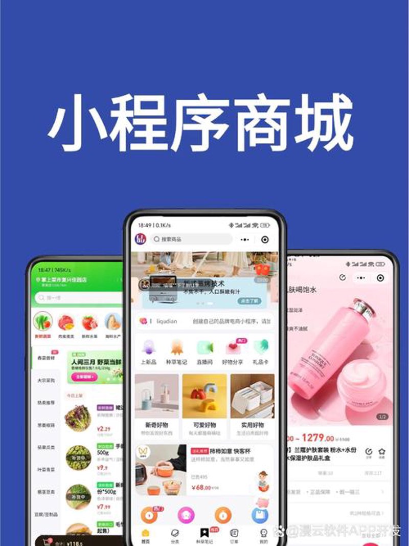 永州软件开发：引领数字化转型的新引擎